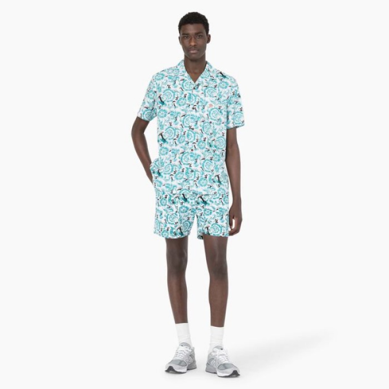 Dickies Roseburg Scurte Sleeve Shirt Albastri | RXBD4094