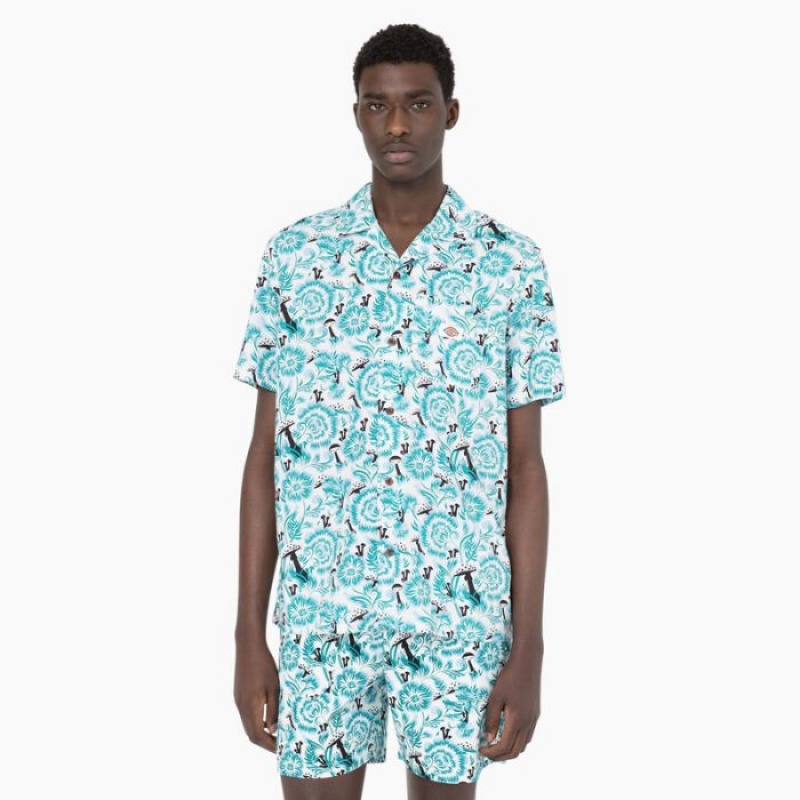 Dickies Roseburg Scurte Sleeve Shirt Albastri | RXBD4094