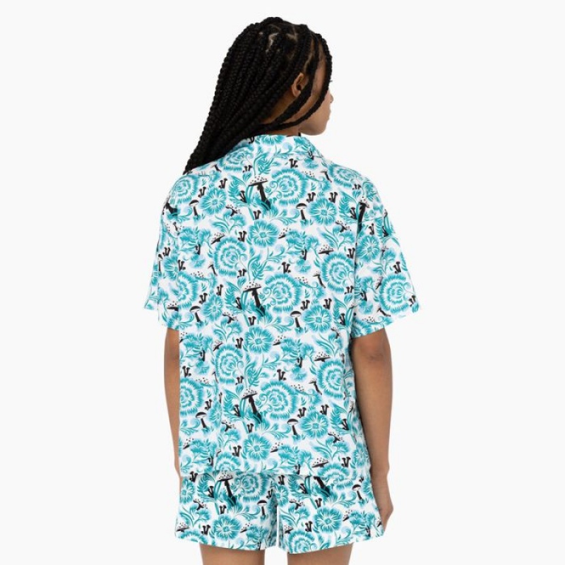 Dickies Roseburg Scurte Sleeve Shirt Albastri | FYDY3208