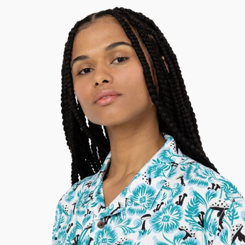 Dickies Roseburg Scurte Sleeve Shirt Albastri | FYDY3208