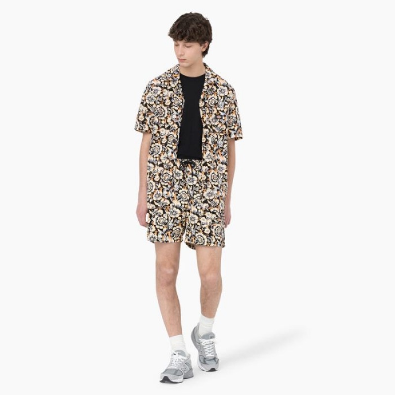 Dickies Roseburg Scurte Sleeve Shirt Maro | NPDL8337