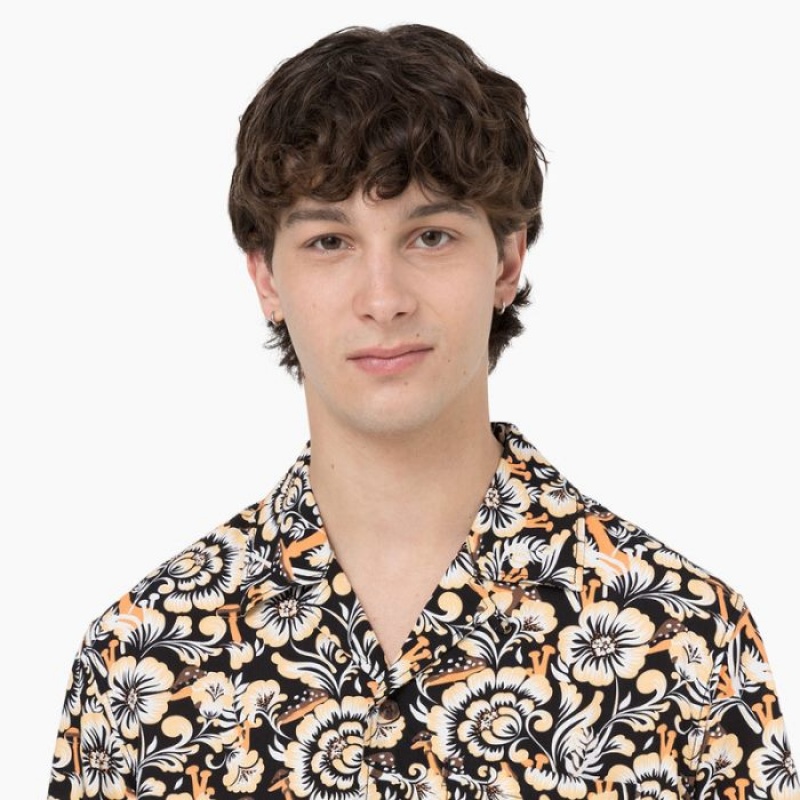 Dickies Roseburg Scurte Sleeve Shirt Maro | NPDL8337