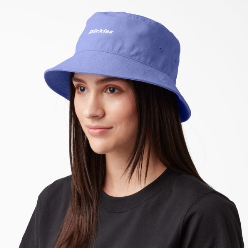Dickies Script Logo Panza Bucket Hat Jacaranda | OKVQ0542