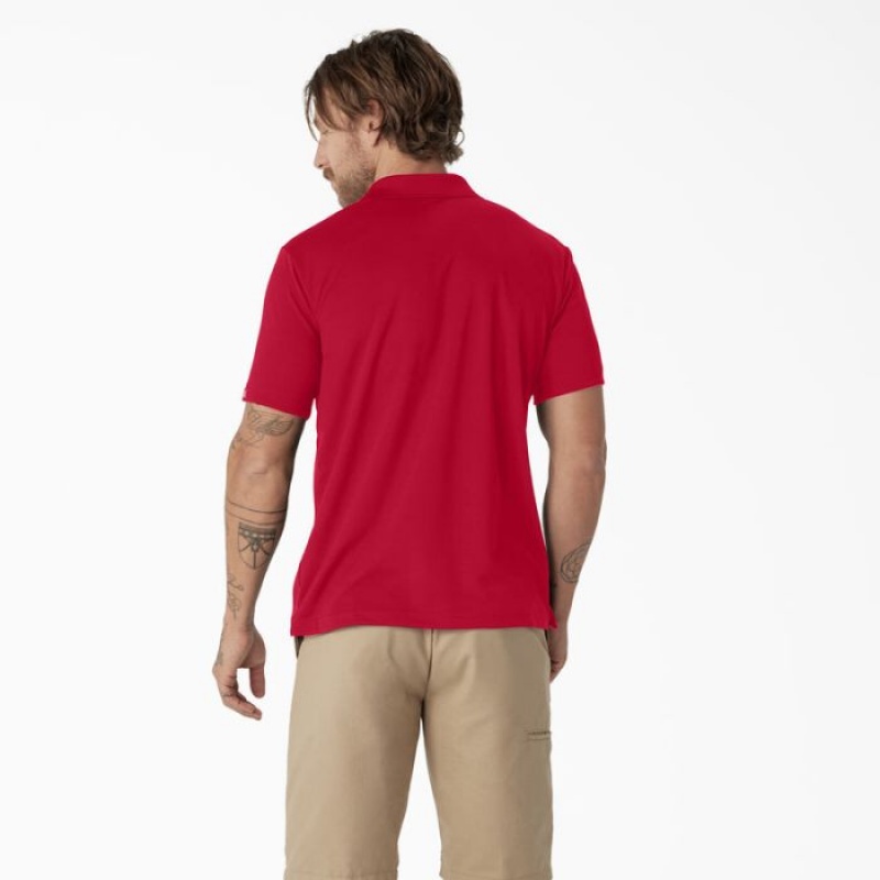 Dickies Scurte Sleeve Performance Polo Shirt Rosii | RDSI6086