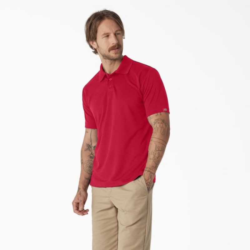 Dickies Scurte Sleeve Performance Polo Shirt Rosii | RDSI6086