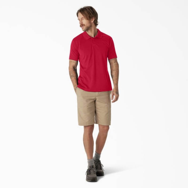Dickies Scurte Sleeve Performance Polo Shirt Rosii | RDSI6086