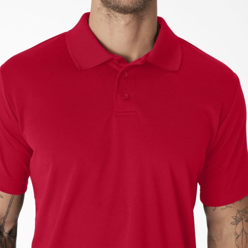 Dickies Scurte Sleeve Performance Polo Shirt Rosii | RDSI6086