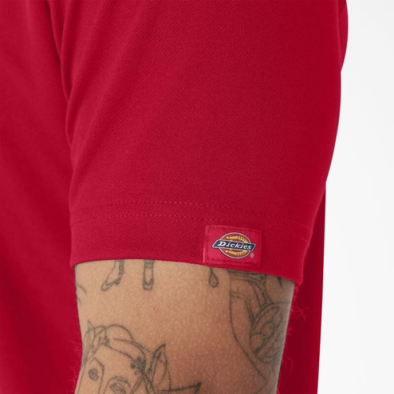 Dickies Scurte Sleeve Performance Polo Shirt Rosii | RDSI6086