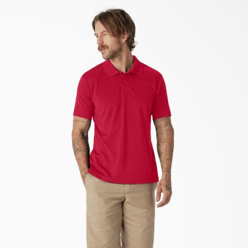 Dickies Scurte Sleeve Performance Polo Shirt Rosii | RDSI6086
