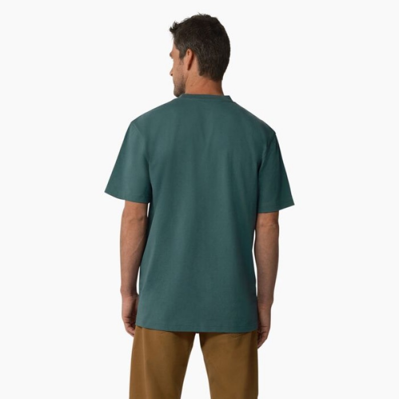 Dickies Scurte Sleeve Tri-Color Logo Grafice T-Shirt Verzi | SYJO4065