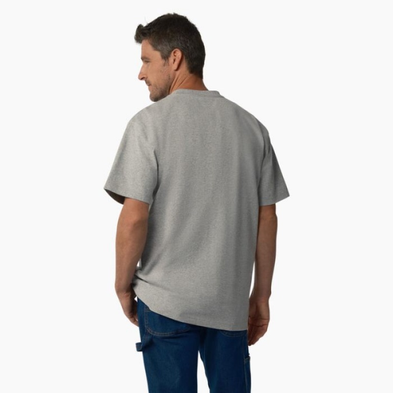 Dickies Scurte Sleeve Wordmark Grafice T-Shirt Gri | RRCN8135