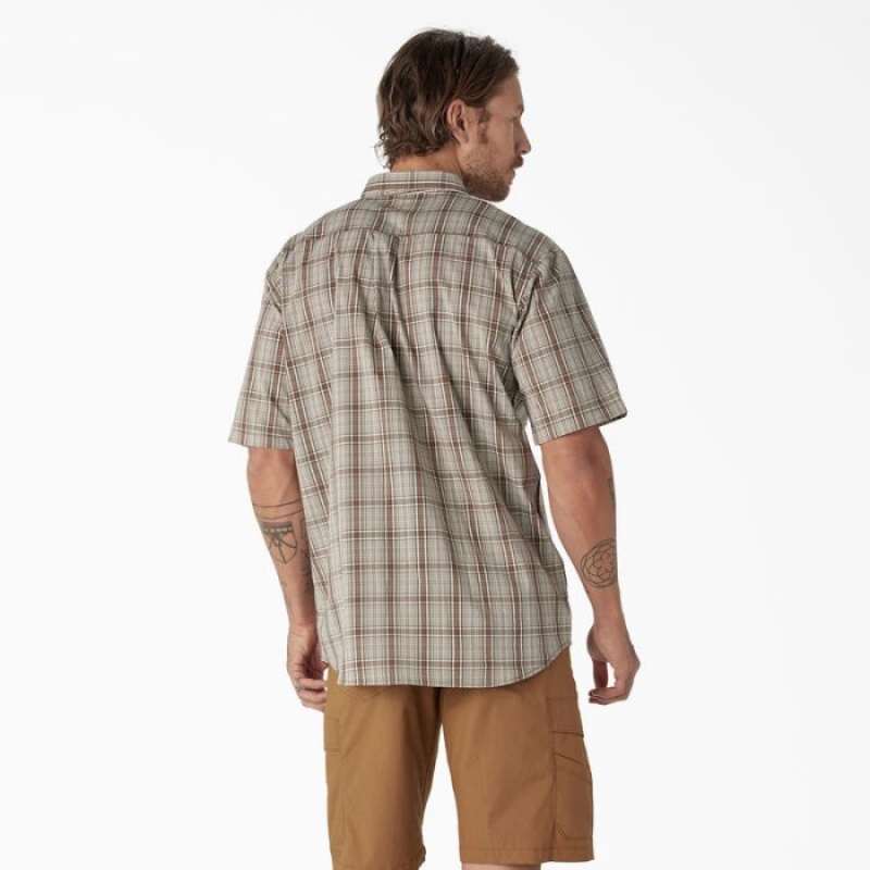 Dickies Scurte Sleeve Woven Shirt Moss Backland Prairie Plaid | YHXF3532