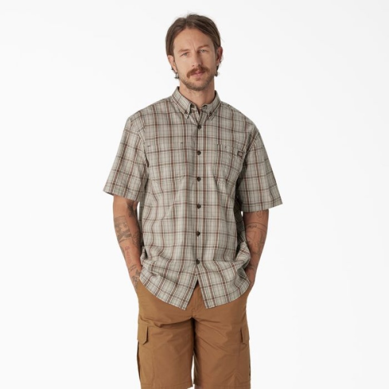 Dickies Scurte Sleeve Woven Shirt Moss Backland Prairie Plaid | YHXF3532