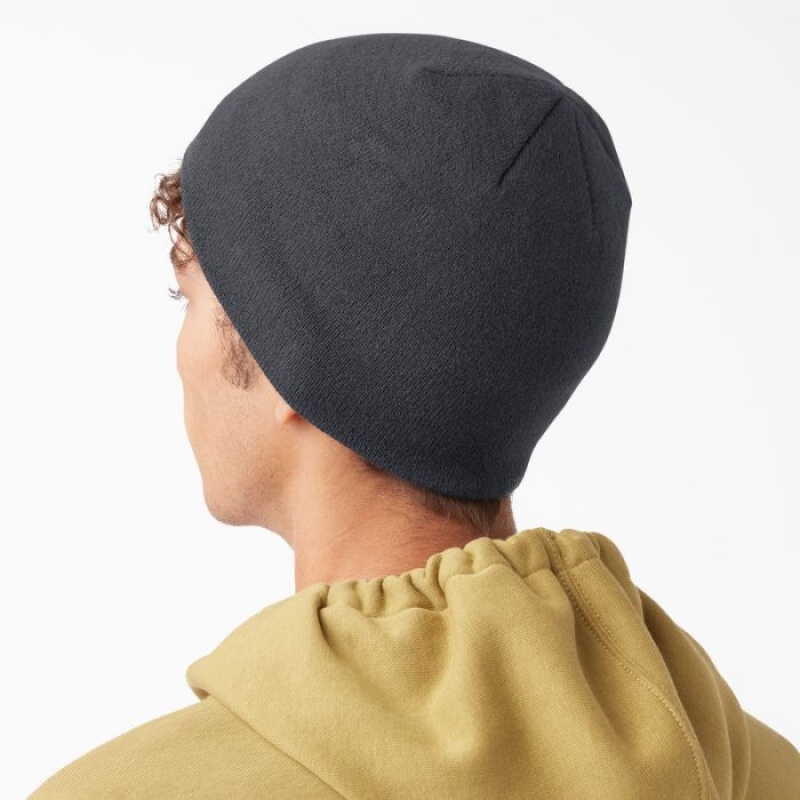Dickies Skull Beanie Gri | DBLT2179