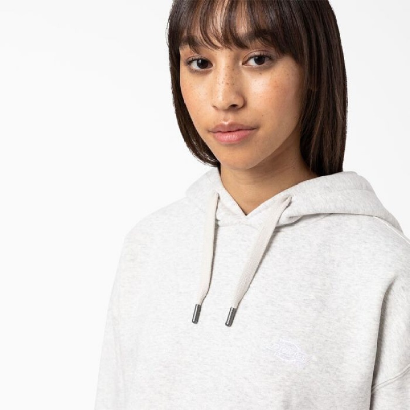 Dickies Summerdale Hoodie Gri | PKBV9973