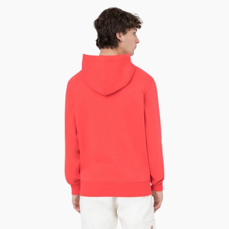 Dickies Summerdale Hoodie Rosii Inchis | ENVH7302
