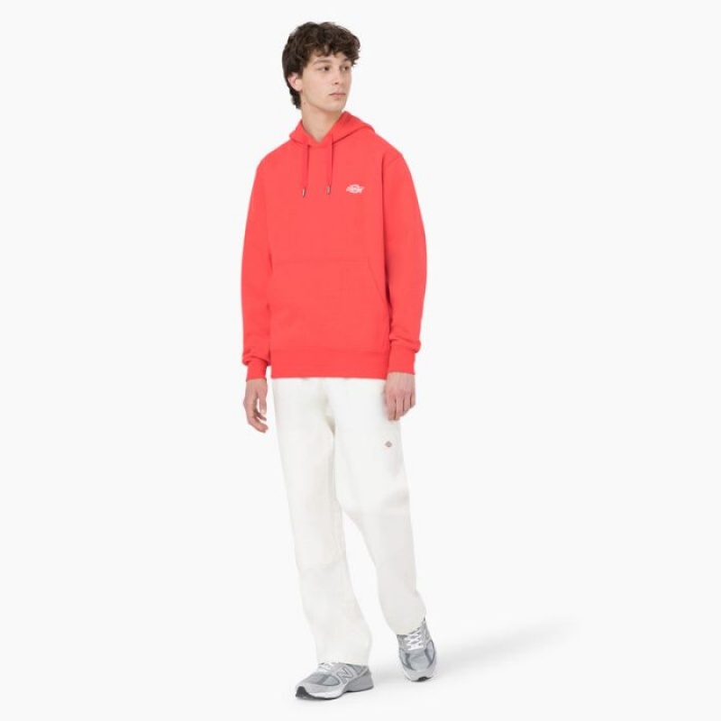 Dickies Summerdale Hoodie Rosii Inchis | ENVH7302