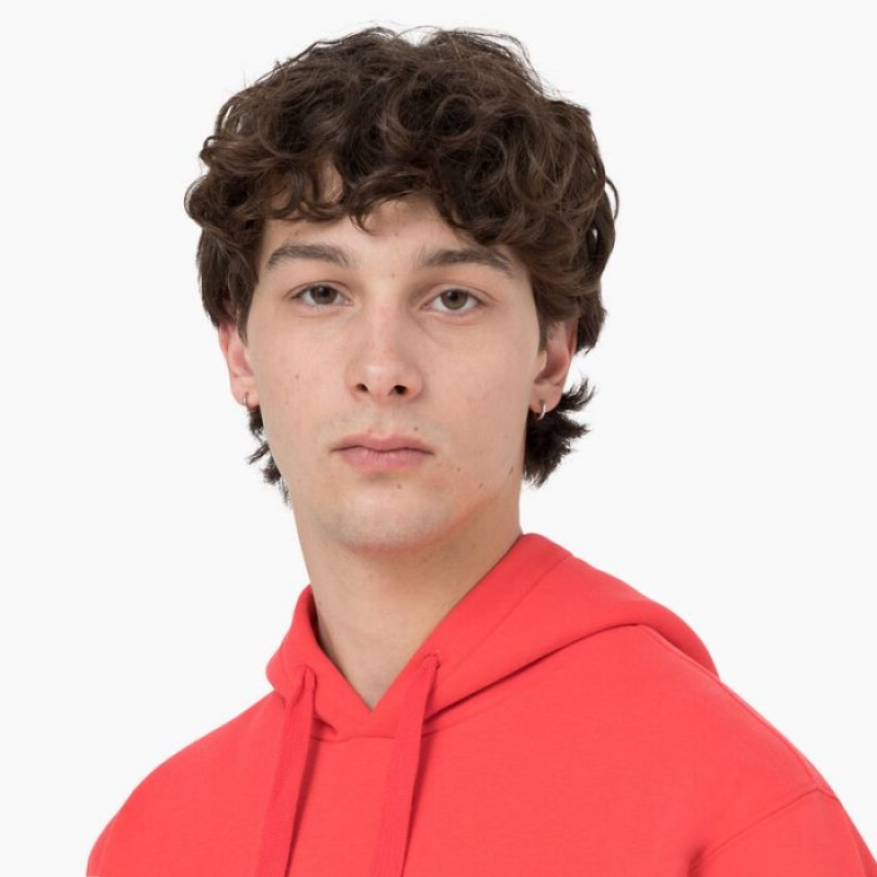 Dickies Summerdale Hoodie Rosii Inchis | ENVH7302