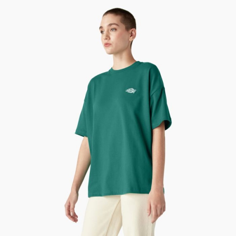 Dickies Summerdale Scurte Sleeve T-Shirt Aventurine | QXYM6491