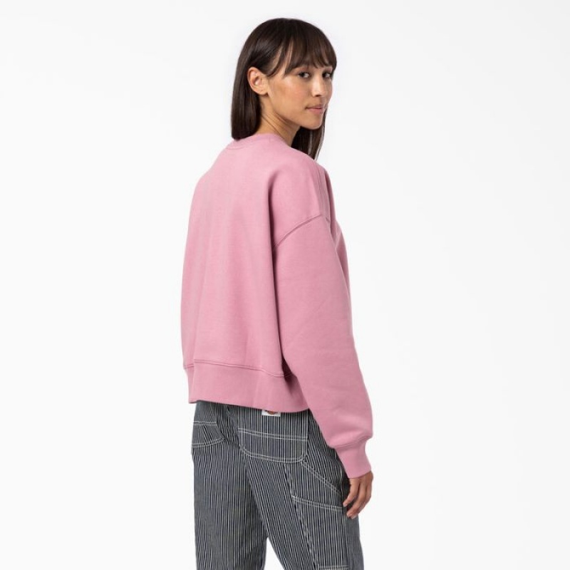 Dickies Summerdale Sweatshirt Foxglove | EXQQ1494