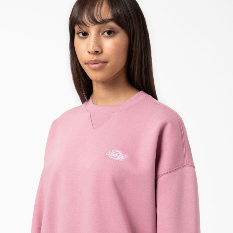 Dickies Summerdale Sweatshirt Foxglove | EXQQ1494