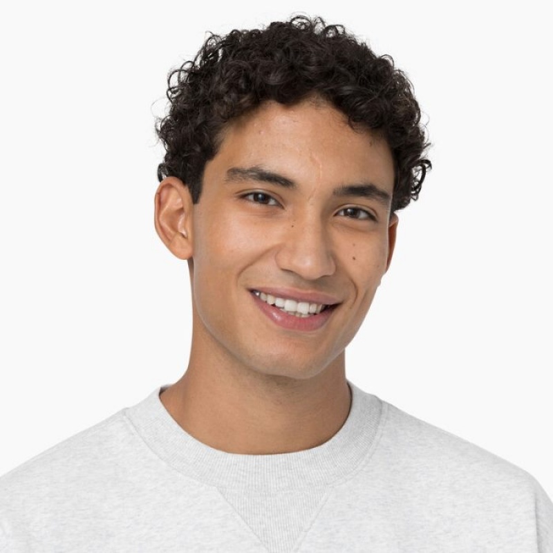 Dickies Summerdale Sweatshirt Gri | PDEF5540