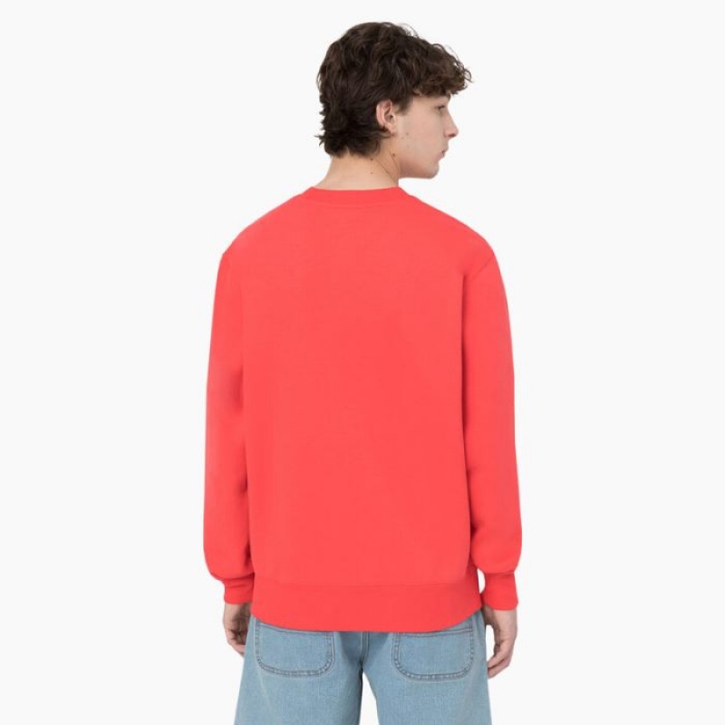 Dickies Summerdale Sweatshirt Rosii Inchis | ELSM5306