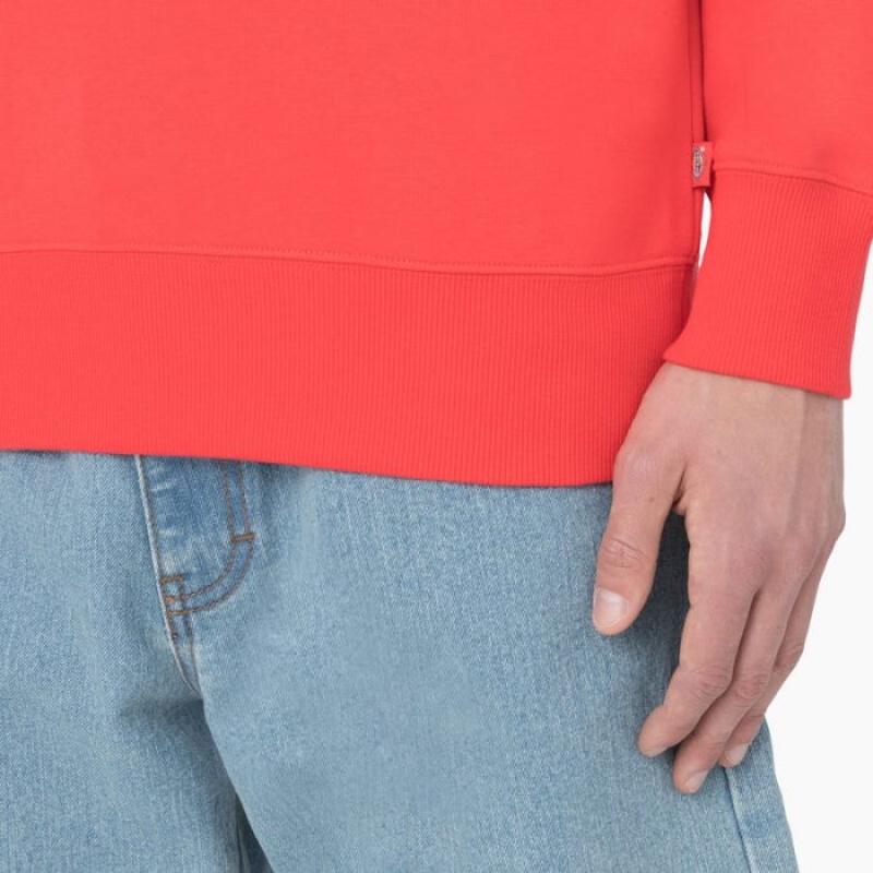 Dickies Summerdale Sweatshirt Rosii Inchis | ELSM5306