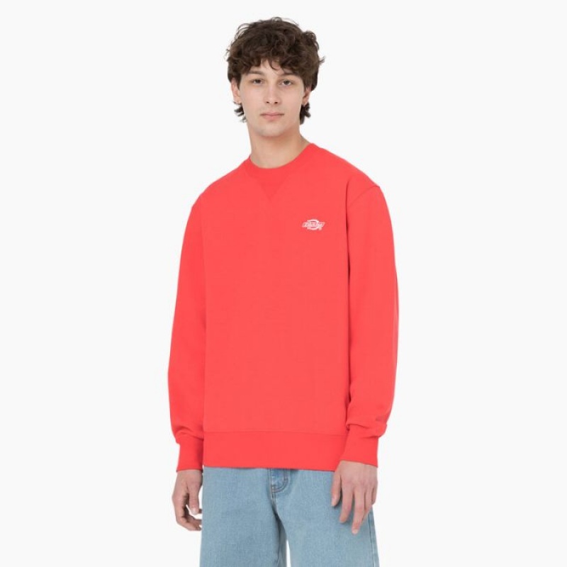 Dickies Summerdale Sweatshirt Rosii Inchis | ELSM5306