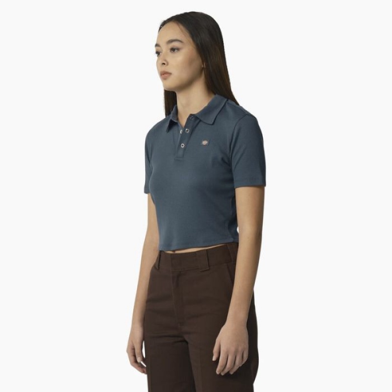Dickies Tallasee Scurte Sleeve Cropped Polo Albastri | ZUJE9837