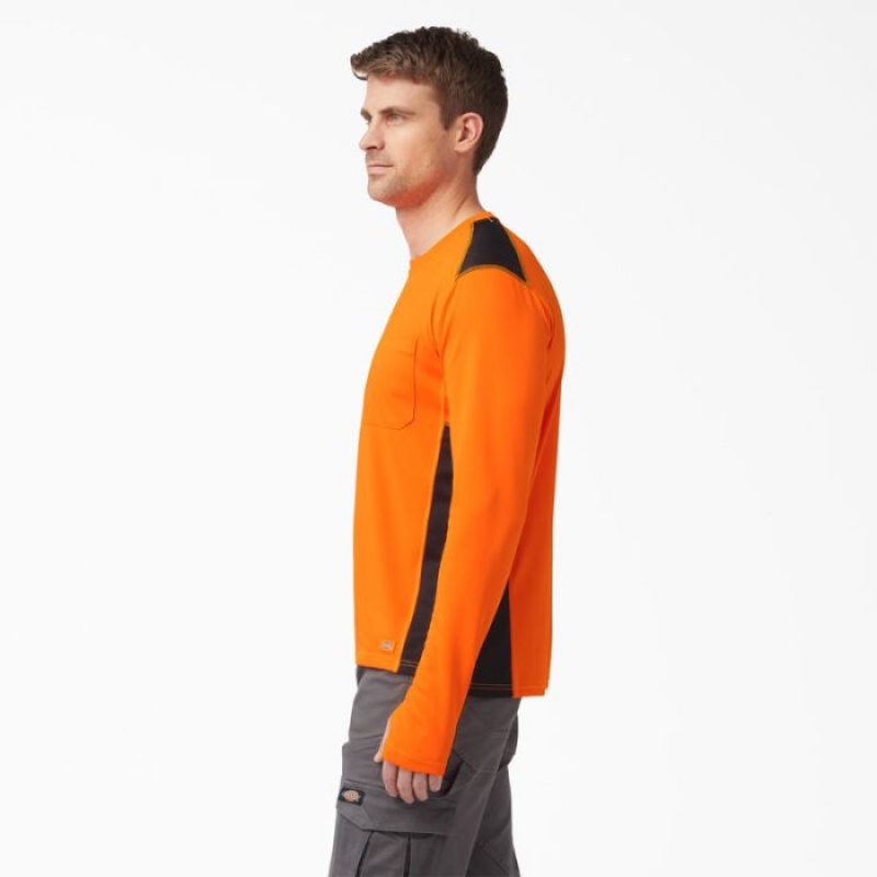 Dickies Temp-iQ Portocalii | IIKD0767