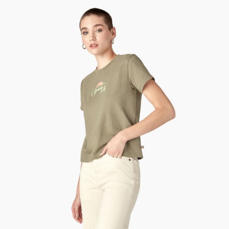 Dickies Twill Ranch Grafice T-Shirt Albastru Regal Verzi | XPPE4296
