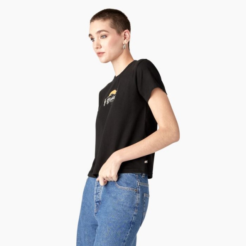 Dickies Twill Ranch Grafice T-Shirt Negrii | JTXR7537