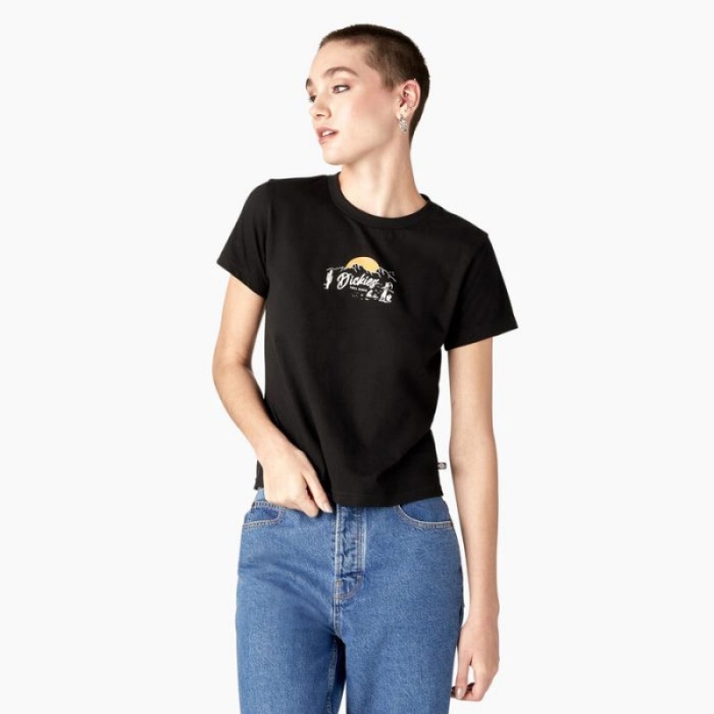 Dickies Twill Ranch Grafice T-Shirt Negrii | JTXR7537