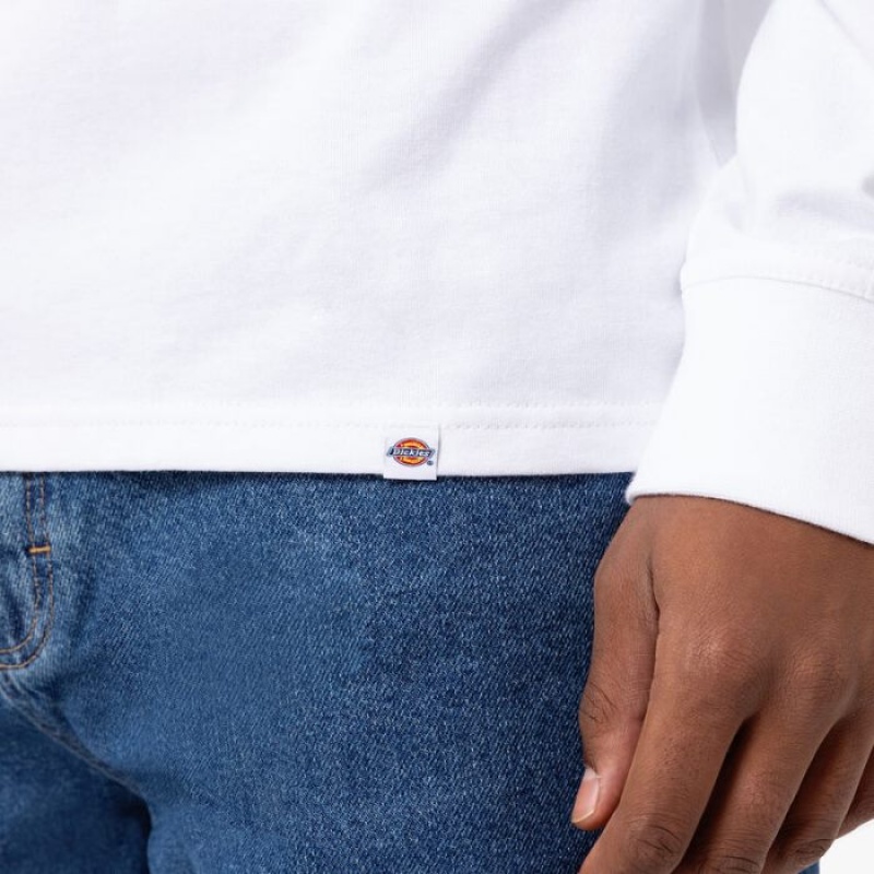 Dickies Union Springs Long Sleeve T-Shirt Albi | LUWP1154