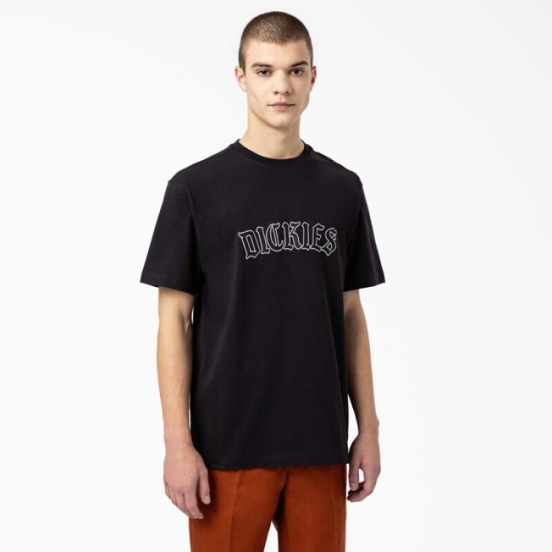 Dickies Union Springs Scurte Sleeve T-Shirt Negrii | RWRD0916