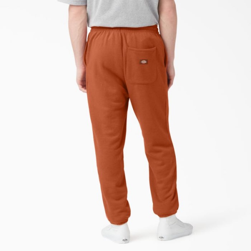 Dickies Uniontown Regular Fit Sweatpants Regular | PVVY1790