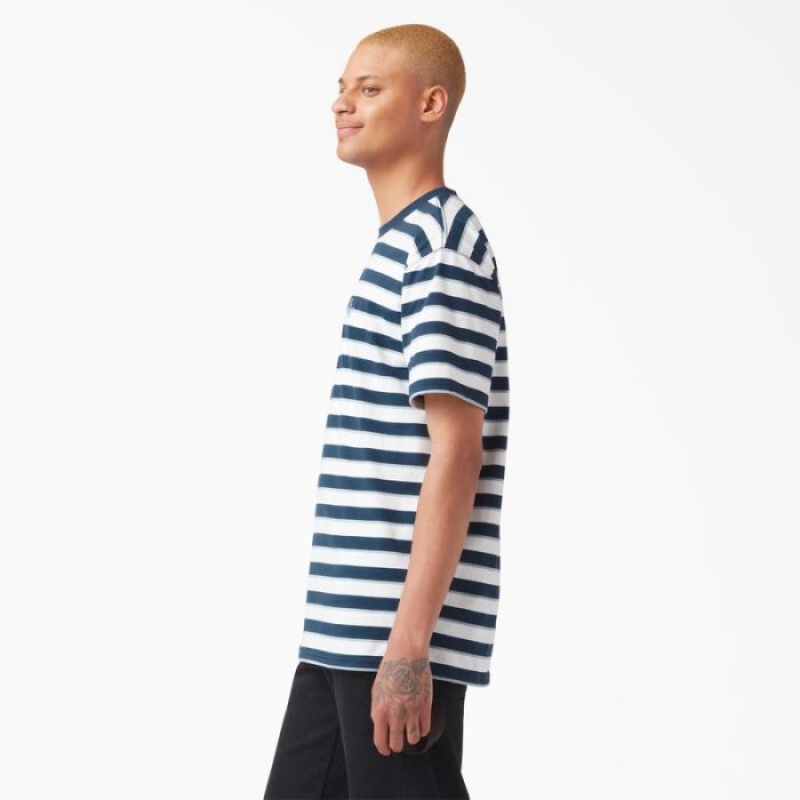 Dickies Vincent Alvarez In Dungi T-Shirt Albastri | PNHE2545