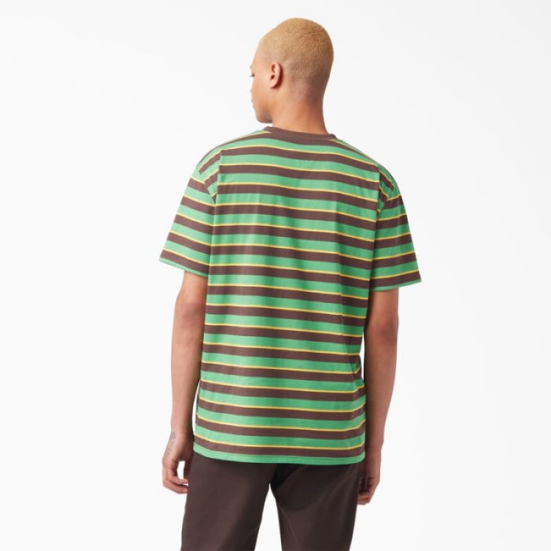 Dickies Vincent Alvarez In Dungi T-Shirt Verzi | RGHP2754