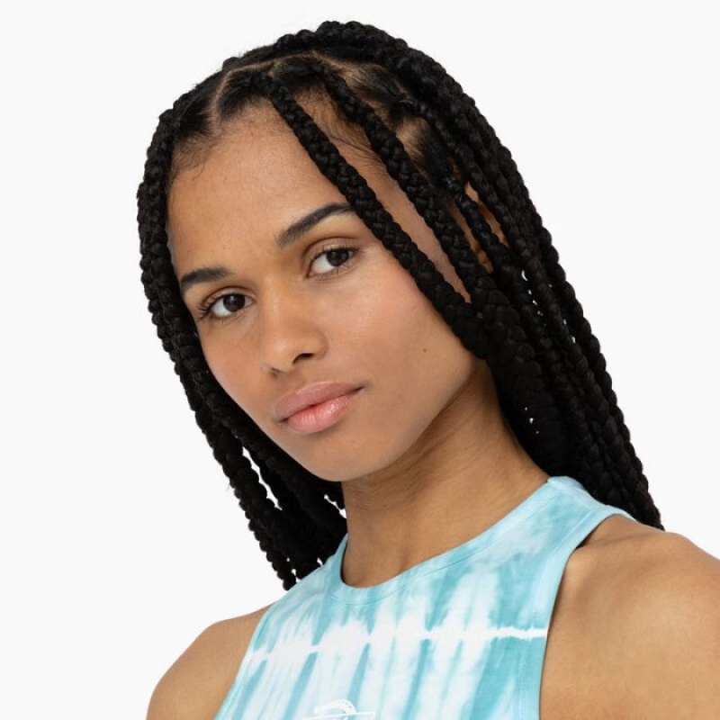 Dickies Westfir Tank Top Albastri | EZSW1323