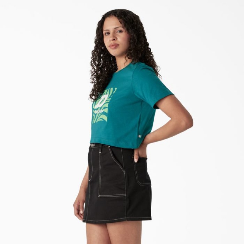 Dickies Zebra Grafice Cropped T-Shirt Albastru Deschis | KAES2035