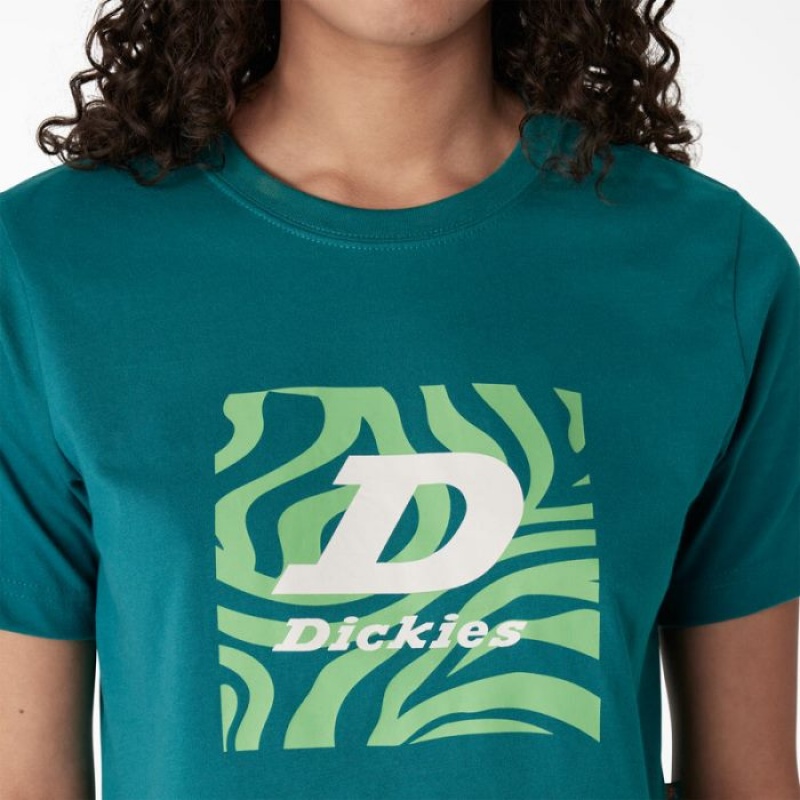 Dickies Zebra Grafice Cropped T-Shirt Albastru Deschis | KAES2035
