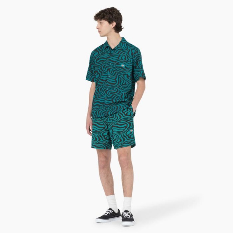 Dickies Zebra Print Modern Fit Drawstring Shorts, 6